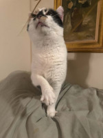 /album/265/whatsapp-image-2026-03-25-at-19-49-28-5-jpeg/